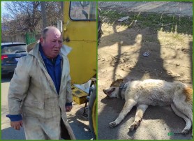 Cruzime fără margini. Un bărbat a târât un câine, legat de tractor